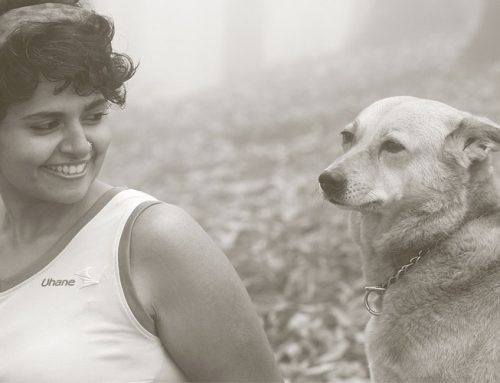 Your four-legged running partner